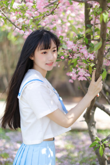 风起陇西剧情简介